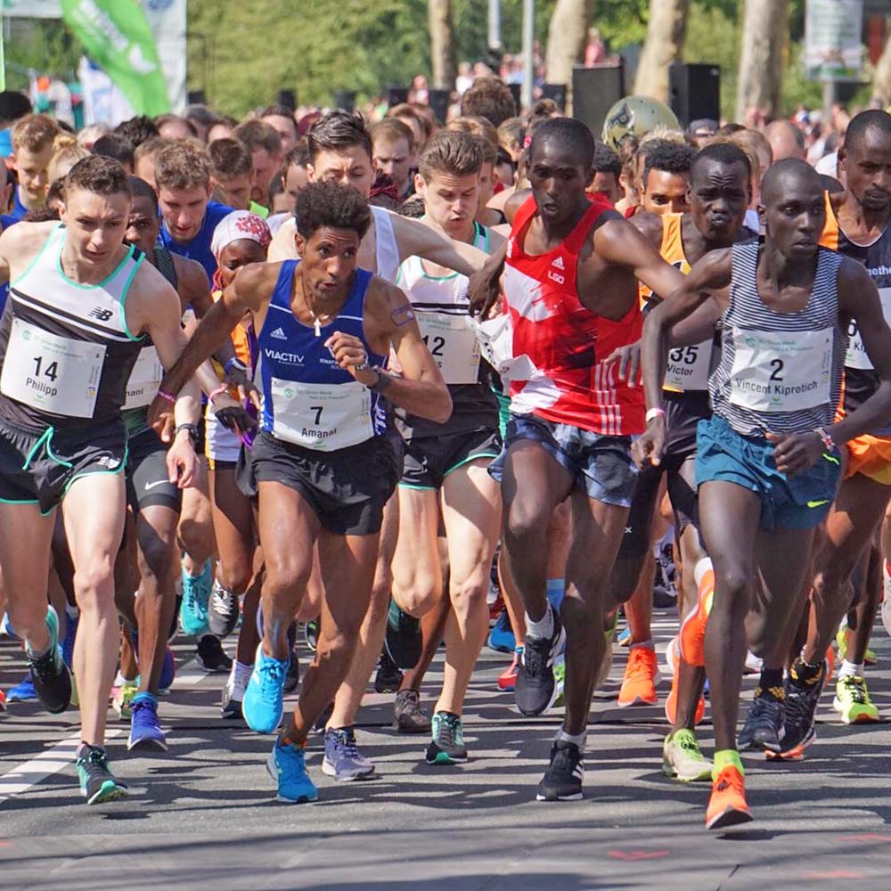 paderborn 2019