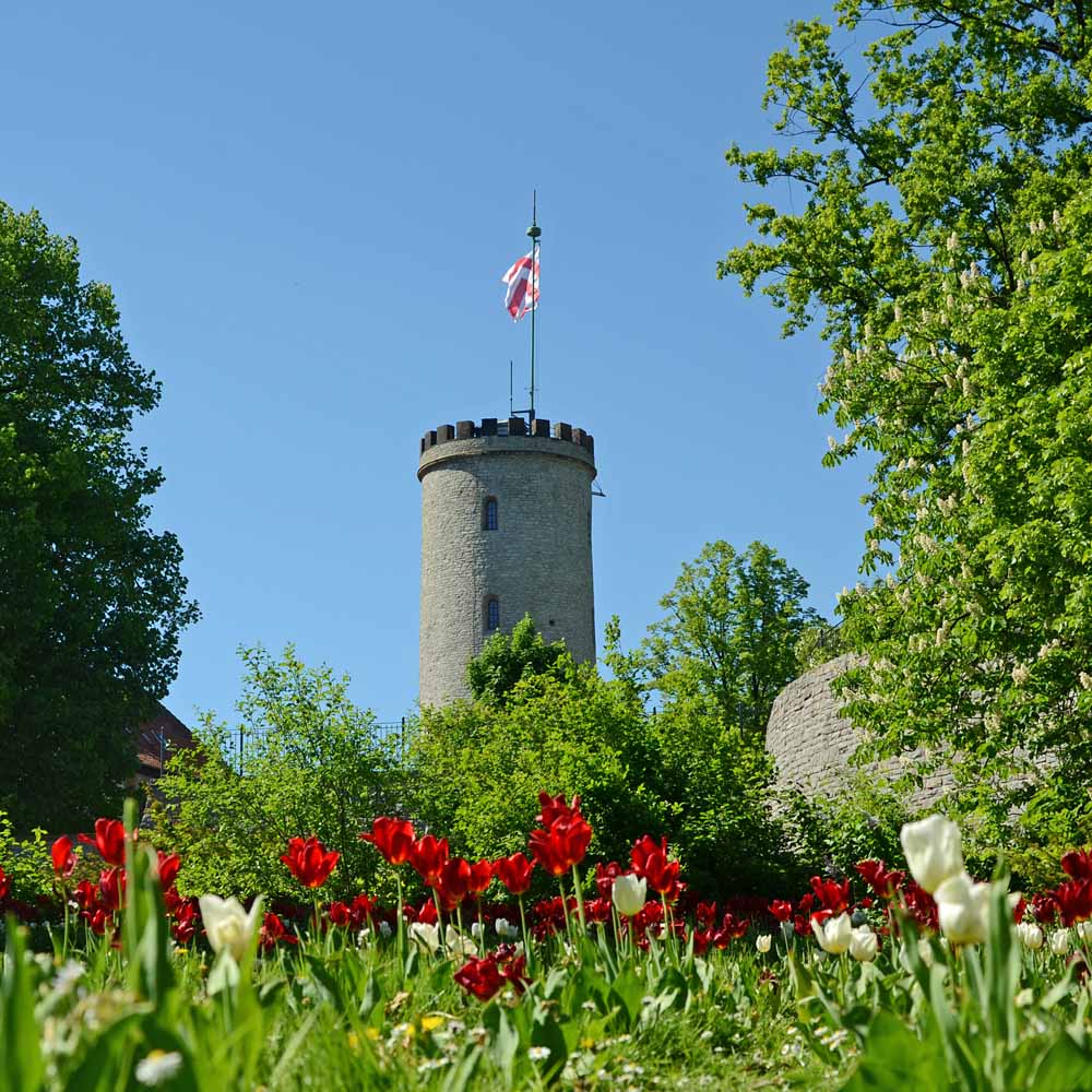 sparrenburg